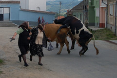 32. Zsinna-i életkép (Szeben megye) © Vasile Mihalceanu